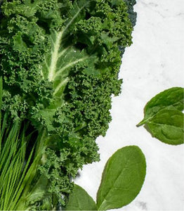 Collagen Beauty Greens - Vanilla Coconut